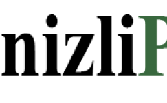 Düşük maliyetli havayolları hızla pazar payı kazanıyor Düşük maliyetli havayolları hızla pazar payı kazanıyor