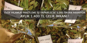 Evde Ihlamur Paketlem Aylık 1.400 TL Kazanç İmkanı