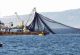 Uzmanlar, Marmara Denizi’nden yakalanan balıkların güvenle yenebileceğini söylüyor
