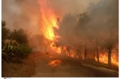 Yangından etkilenen şirketlerde çalışanlara 534 avro ödenek