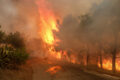 İtfaiyeciler alarma geçti, Girit’teki orman yangını kontrol altına alındı