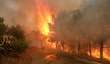 İtfaiyeciler alarma geçti, Girit’teki orman yangını kontrol altına alındı