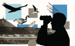 Azerbaycanlı şüpheli casusluk suçlamalarını reddetti