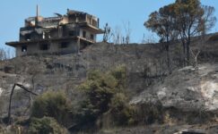 Yunanistan’da bu yıl yaklaşık 45 bin hektarlık alan yandı
