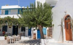 Paros: Kiklad Adaları’nın gözde mekanlarından birinde 12 lezzet durağı