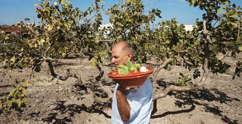 Giannis Nomikos: Santorini’nin gerçek DNA’sını koruyan çiftçi
