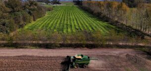 Tarım sübvansiyonları büyük bir israf mı? Tarım sübvansiyonları büyük bir israf mı?
