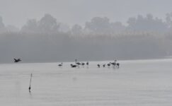 Kışın soğukları yerini güneyin sıcaklığına bırakıyor Kışın soğukları yerini güneyin sıcaklığına bırakıyor