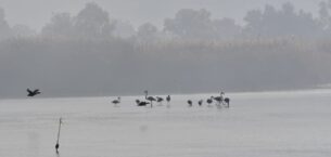 Kışın soğukları yerini güneyin sıcaklığına bırakıyor