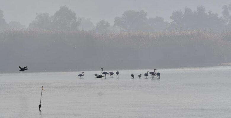 Kışın soğukları yerini güneyin sıcaklığına bırakıyor