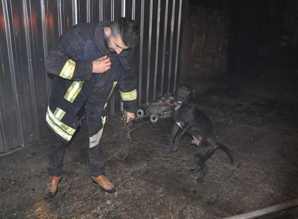 Denizli’de 3 İşyeri Alevlere Teslim Oldu