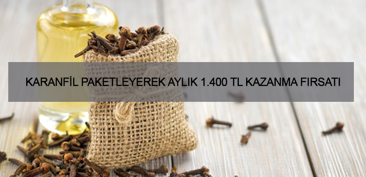 Evde Karanfil Paketleme İşi İle 1.400 TL Kazanç İmkanı