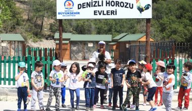 Hayvan sevgisini küçük yaşta öğreniyorlar