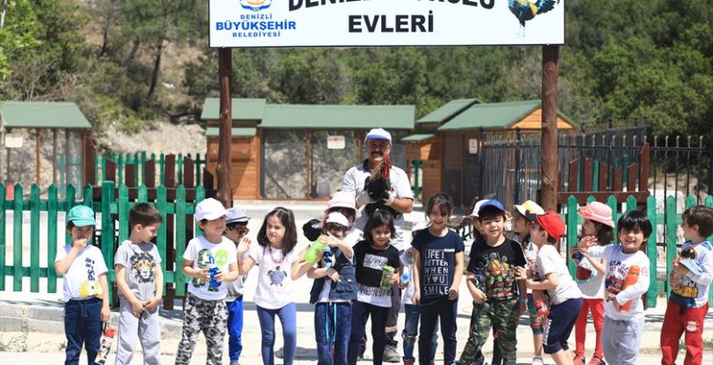 Hayvan sevgisini küçük yaşta öğreniyorlar