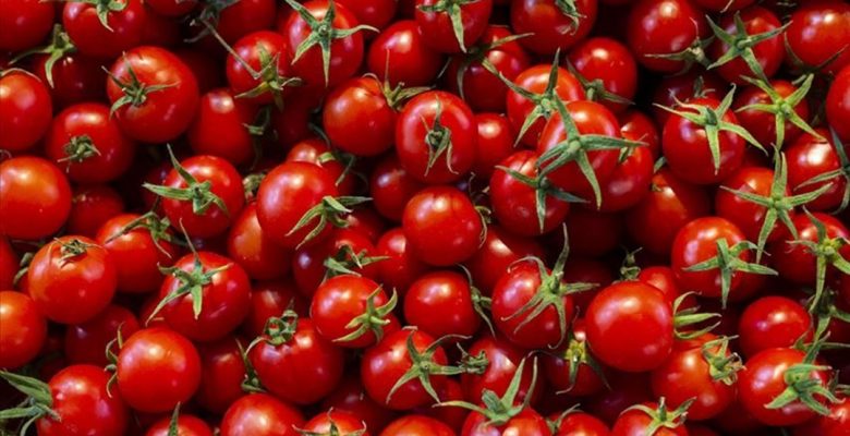 Domatesteki mucizeleri keşfedin