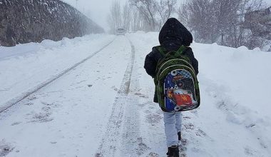 13 Şubat 2020’de okulların tatil olduğu iller