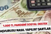 Pandemi Sosyal Yardımı Nasıl Yapılır?