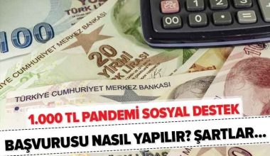 Pandemi Sosyal Yardımı Nasıl Yapılır?