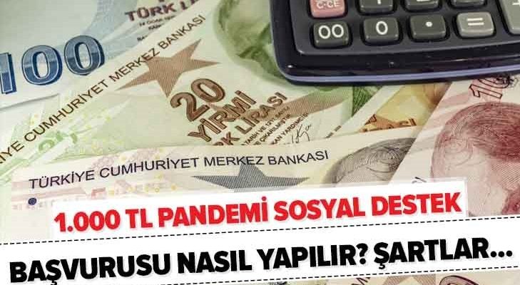 Pandemi Sosyal Yardımı Nasıl Yapılır?