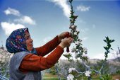 Denizli Büyükşehir her zaman üreticinin yanında