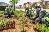 Büyükşehir ile daha yeşil bir Denizli