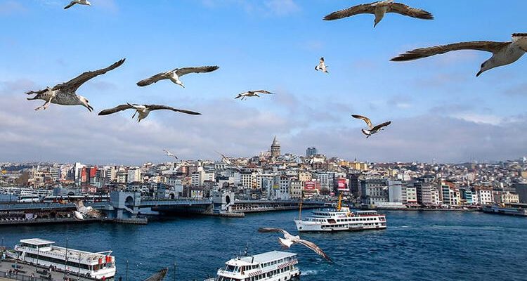 Ağaçlar erken çiçek açarken, uzmanlar Türkiye’deki iklim değişikliği konusunda uyardı