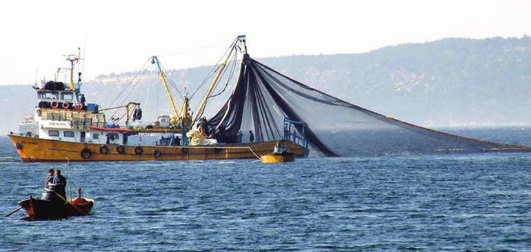 Uzmanlar, Marmara Denizi’nden yakalanan balıkların güvenle yenebileceğini söylüyor