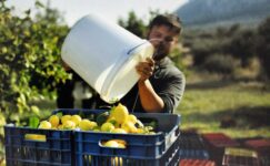 ‘Biz sadece seçtiklerimizi istiyoruz’