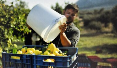 ‘Biz sadece seçtiklerimizi istiyoruz’