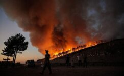 Türkiye ve Arnavutluk’ta itfaiyeciler, kavurucu sıcakların ardından günlerdir devam eden yangınlarla mücadele ediyor