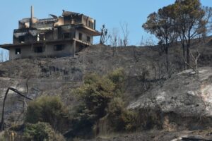 Yunanistan’da bu yıl yaklaşık 45 bin hektarlık alan yandı