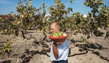 Giannis Nomikos: Santorini’nin gerçek DNA’sını koruyan çiftçi