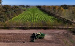 Tarım sübvansiyonları büyük bir israf mı?
