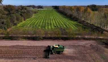 Tarım sübvansiyonları büyük bir israf mı?