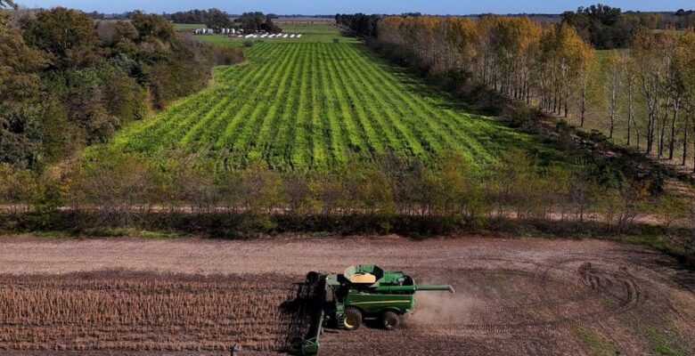 Tarım sübvansiyonları büyük bir israf mı?