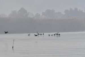 Kışın soğukları yerini güneyin sıcaklığına bırakıyor
