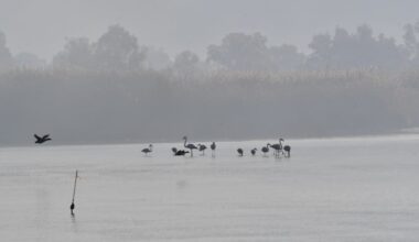 Kışın soğukları yerini güneyin sıcaklığına bırakıyor