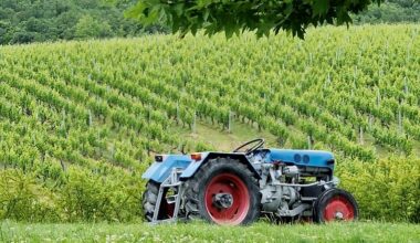 Yunan şarap üreticileri ‘çevre dostu’ olmaya çalışıyor