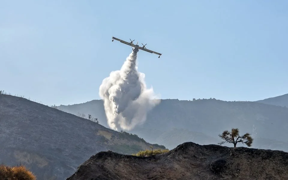 AB yetkilisi, Avrupa genelindeki orman yangınlarıyla mücadele etmek için 300 kişilik bir itfaiye gücü oluşturulduğunu duyurdu