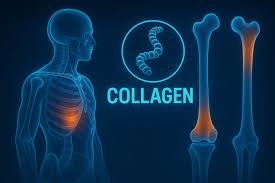 Eklemler İçin En İyi Kolajen Markası Nasıl Seçilir? Eklem Sağlığını Destekleyen Kolajen Rehberi